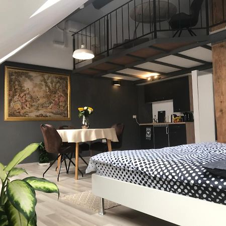 Savoya Nr2 Loft Studio Old City Center Self Check-In Workspace Timişoara Exteriör bild