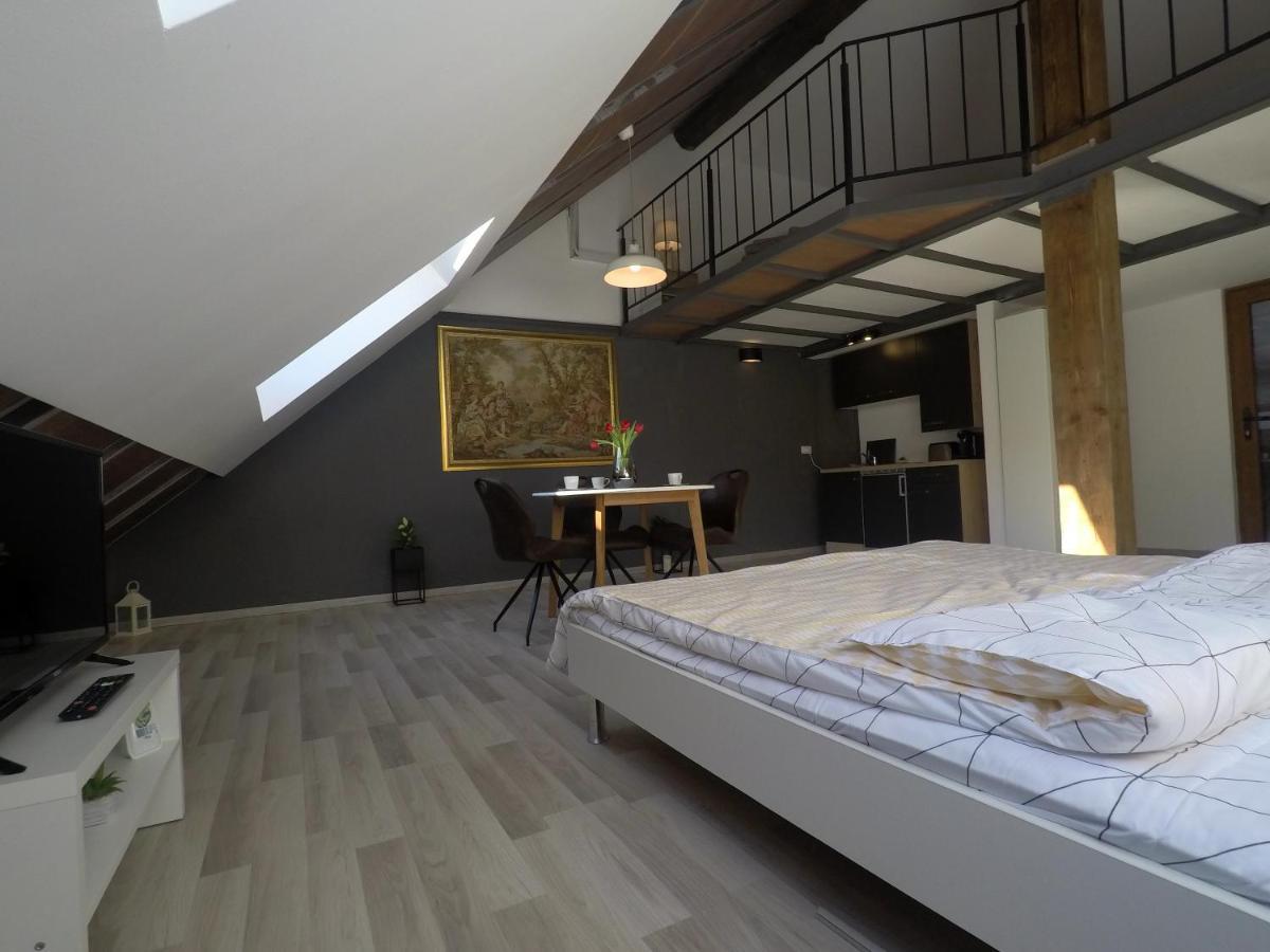 Savoya Nr2 Loft Studio Old City Center Self Check-In Workspace Timişoara Exteriör bild