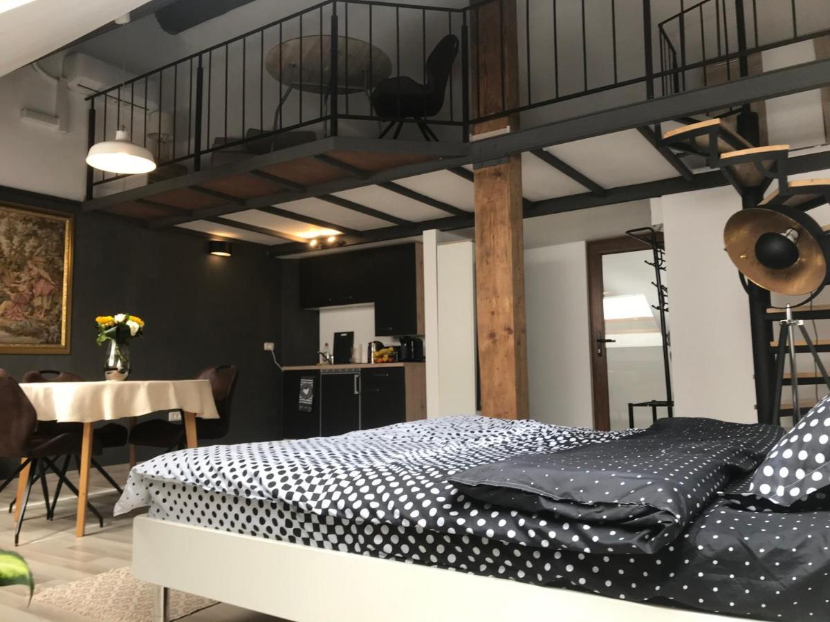 Savoya Nr2 Loft Studio Old City Center Self Check-In Workspace Timişoara Exteriör bild