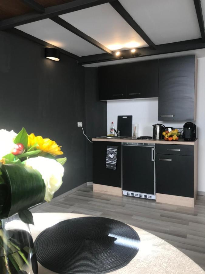 Savoya Nr2 Loft Studio Old City Center Self Check-In Workspace Timişoara Exteriör bild