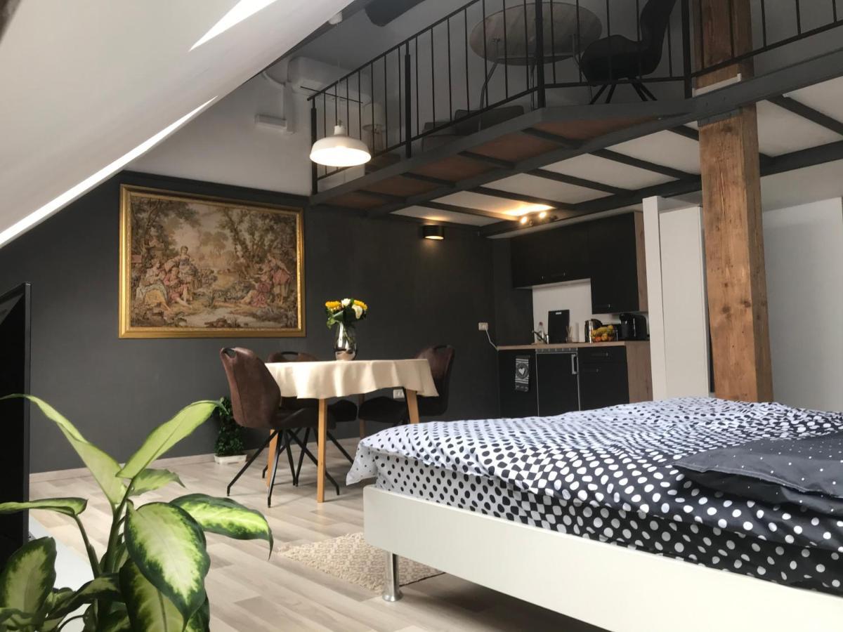 Savoya Nr2 Loft Studio Old City Center Self Check-In Workspace Timişoara Exteriör bild