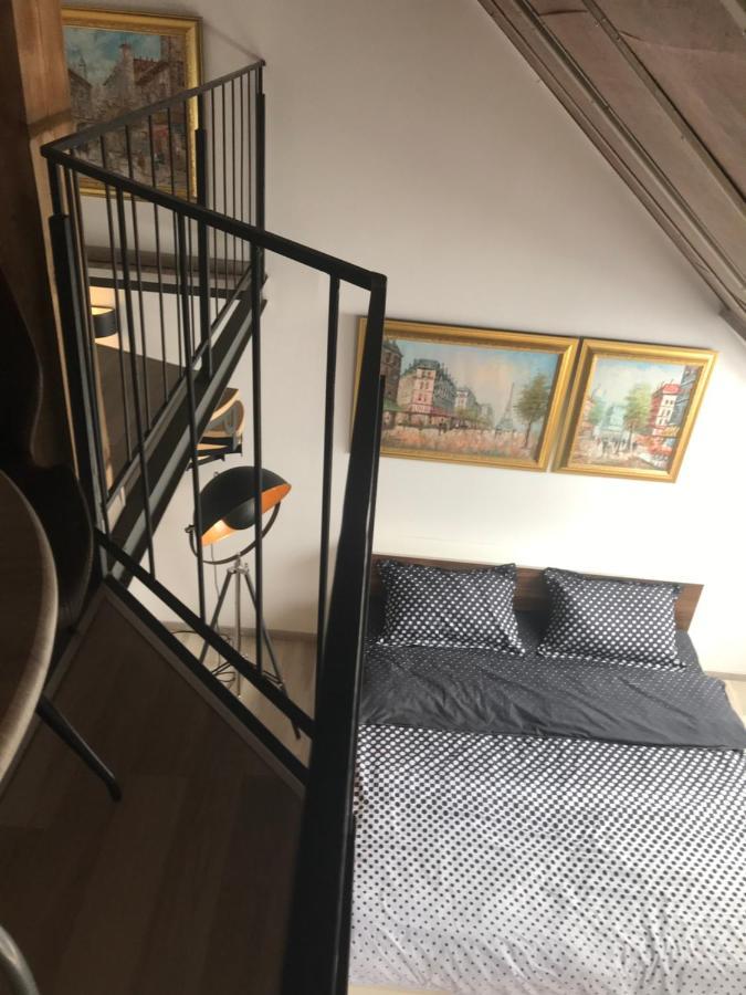 Savoya Nr2 Loft Studio Old City Center Self Check-In Workspace Timişoara Exteriör bild