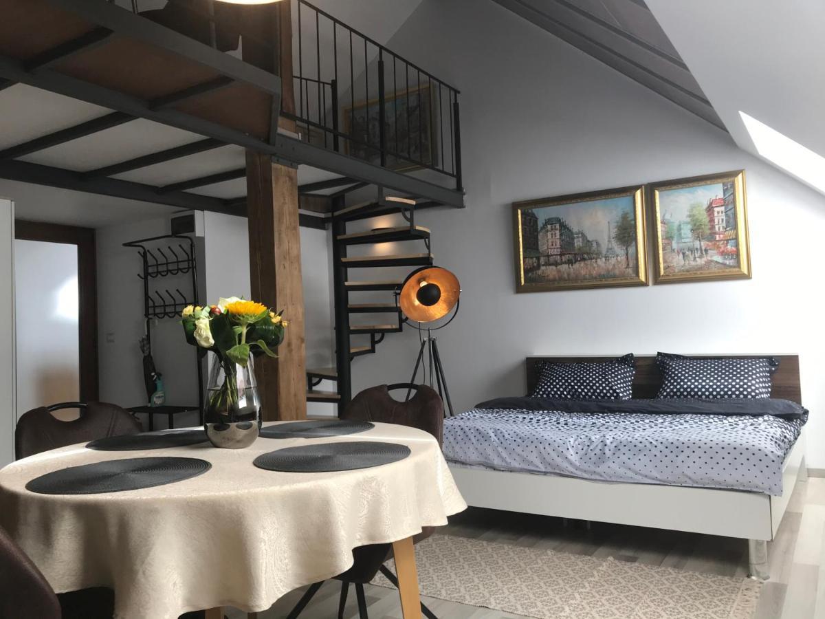 Savoya Nr2 Loft Studio Old City Center Self Check-In Workspace Timişoara Exteriör bild