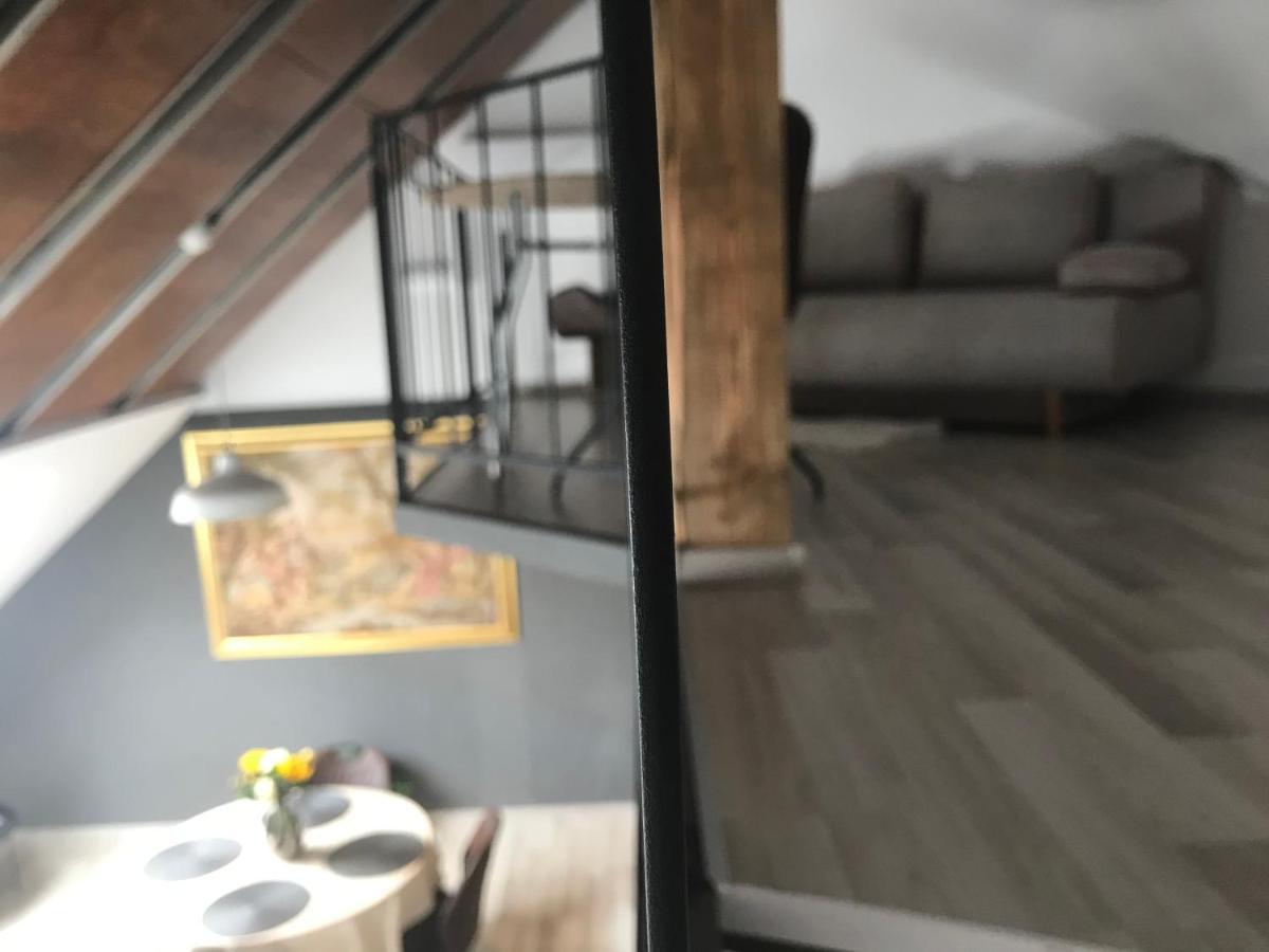 Savoya Nr2 Loft Studio Old City Center Self Check-In Workspace Timişoara Exteriör bild